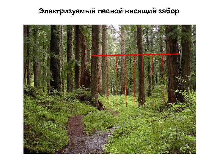 Электризуемый лесной висящий забор 
