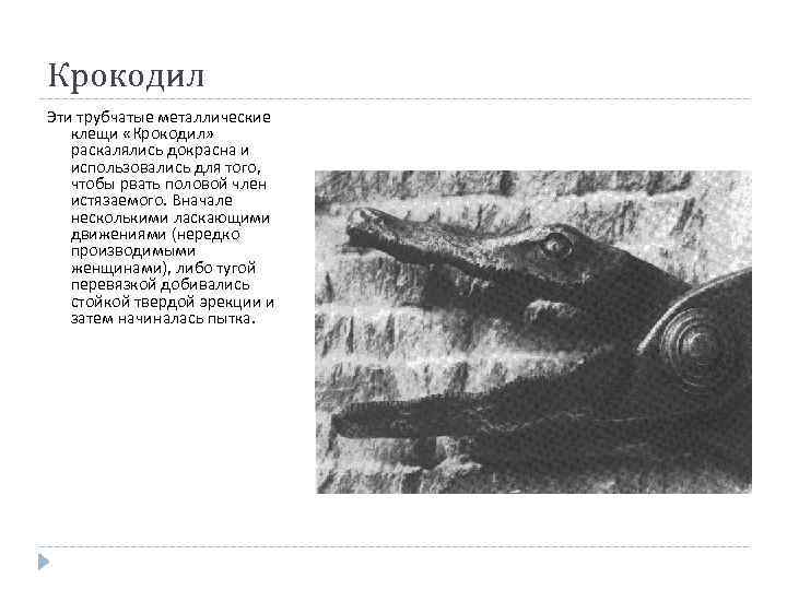 Крокодил Эти трубчатые металлические клещи «Крокодил» раскалялись докрасна и использовались для того, чтобы рвать
