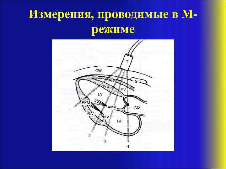Измерения, проводимые в Мрежиме 
