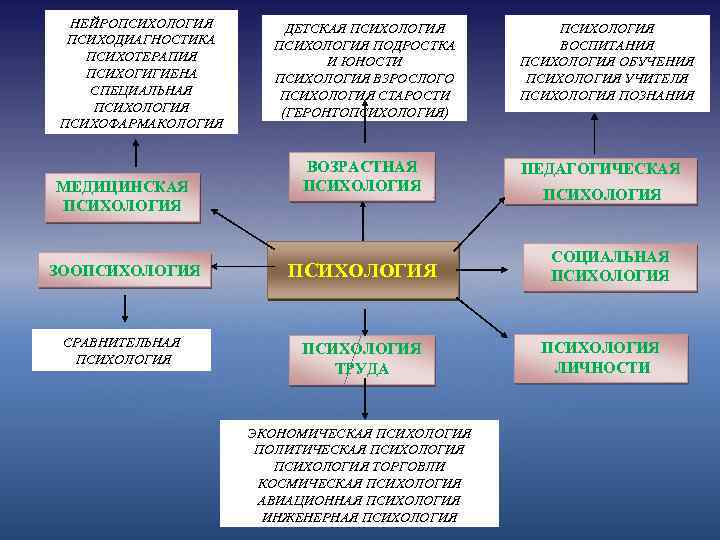  НЕЙРОПСИХОЛОГИЯ ДЕТСКАЯ ПСИХОЛОГИЯ ПСИХОДИАГНОСТИКА ПСИХОЛОГИЯ ПОДРОСТКА ВОСПИТАНИЯ ПСИХОТЕРАПИЯ И ЮНОСТИ ПСИХОЛОГИЯ ОБУЧЕНИЯ ПСИХОГИГИЕНА