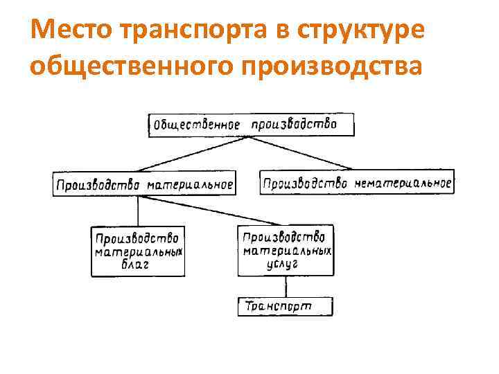 Место транспорта в структуре общественного производства 