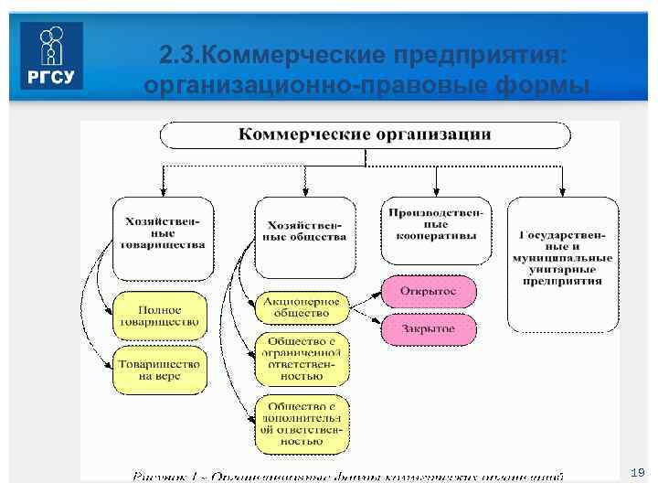 2. 3. Коммерческие предприятия: организационно-правовые формы 19 