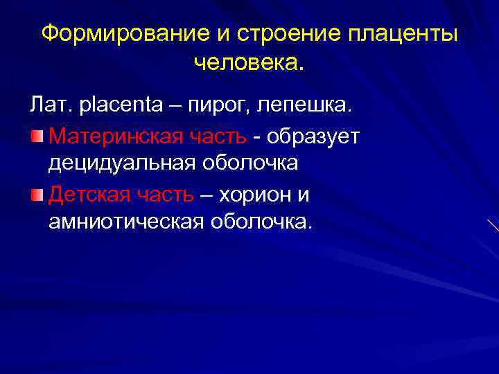 Формирование и строение плаценты человека. Лат. placenta – пирог, лепешка. Материнская часть - образует