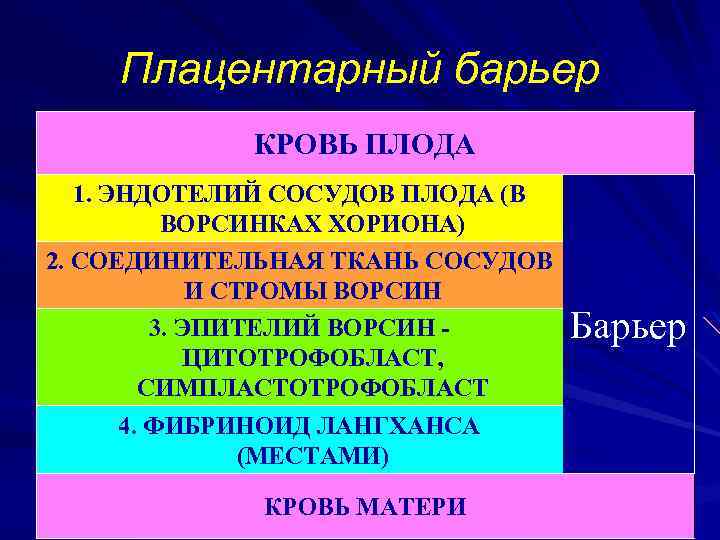Плацентарный барьер КРОВЬ ПЛОДА 1. ЭНДОТЕЛИЙ СОСУДОВ ПЛОДА (В ВОРСИНКАХ ХОРИОНА) 2. СОЕДИНИТЕЛЬНАЯ ТКАНЬ