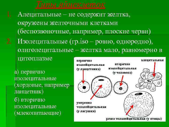 Изображение содержит неподдерживаемые типы слоев