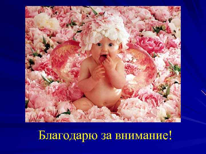 Благодарю за внимание! 