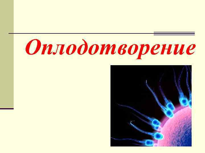 Оплодотворение 