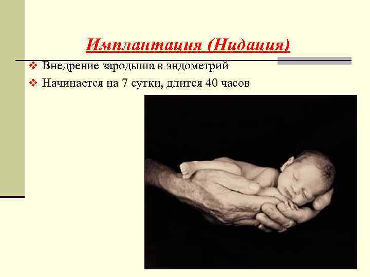 Имплантация (Нидация) v Внедрение зародыша в эндометрий v Начинается на 7 сутки, длится 40
