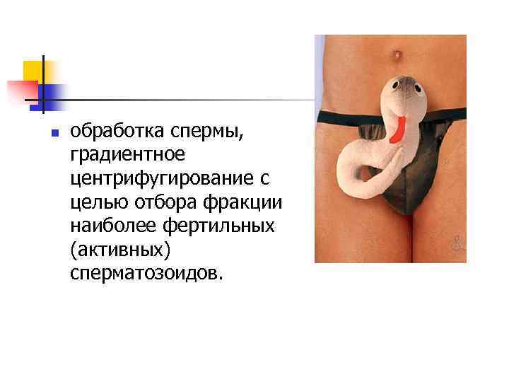 n обработка спермы, градиентное центрифугирование с целью отбора фракции наиболее фертильных (активных) сперматозоидов. 