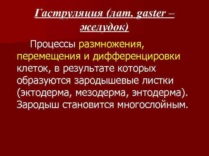 Гаструляция (лат. gaster – желудок) Процессы размножения, перемещения и дифференцировки клеток, в результате которых
