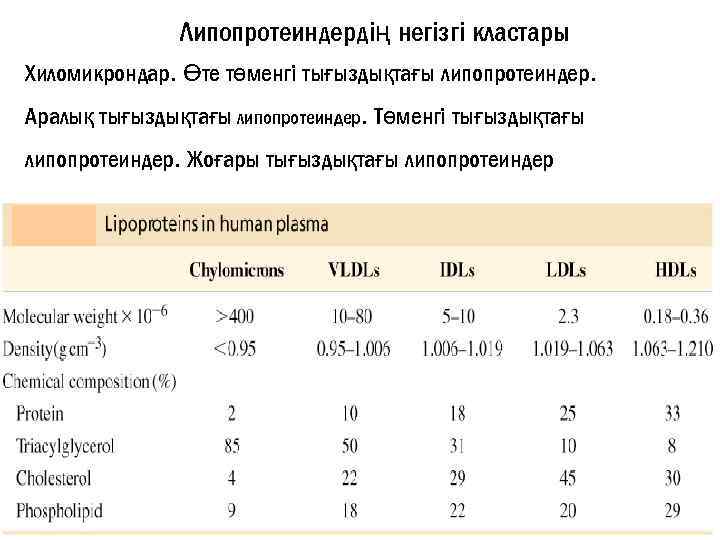 Липопротеиндердің негізгі кластары Хиломикрондар. Өте төменгі тығыздықтағы липопротеиндер. Аралық тығыздықтағы липопротеиндер. Төменгі тығыздықтағы липопротеиндер.