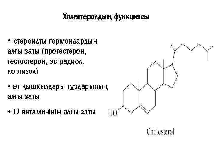 Холестеролдың функциясы • стероидты гормондардың алғы заты (прогестерон, тестостерон, эстрадиол, кортизол) • өт қышқылдары
