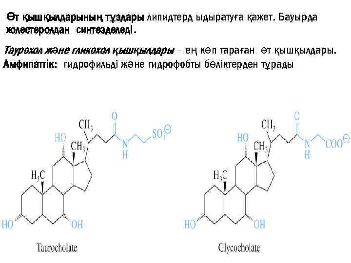 Өт қышқылдарының тұздары липидтерд ыдыратуға қажет. Бауырда холестеролдан синтезделеді. Таурохол және гликохол қышқылдары –