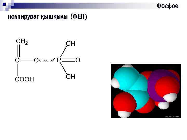 Фосфое нолпируват қышқылы (ФЕП) 