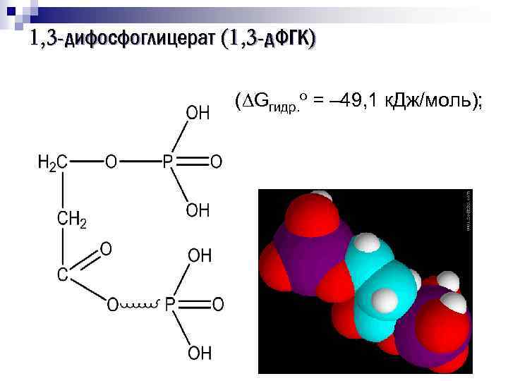 1, 3 -дифосфоглицерат (1, 3 -д. ФГК) ( Gгидр. о = – 49, 1