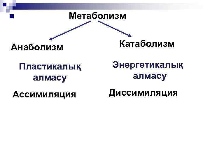 Метаболизм n Анаболизм Пластикалық алмасу Ассимиляция Катаболизм Энергетикалық алмасу Диссимиляция 