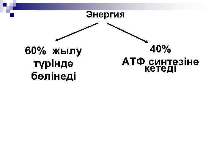 Энергия n 60% жылу түрінде бөлінеді 40% АТФ синтезіне кетеді 