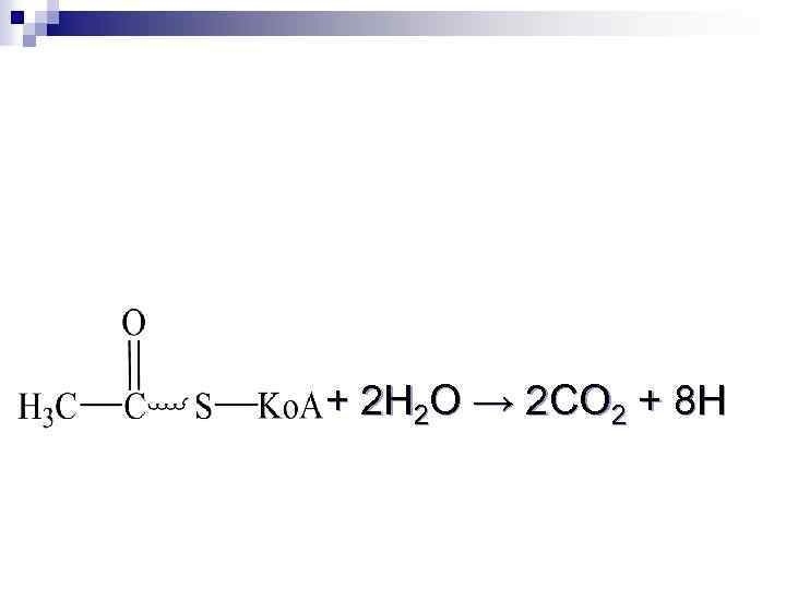 + 2 Н 2 О → 2 СО 2 + 8 Н 
