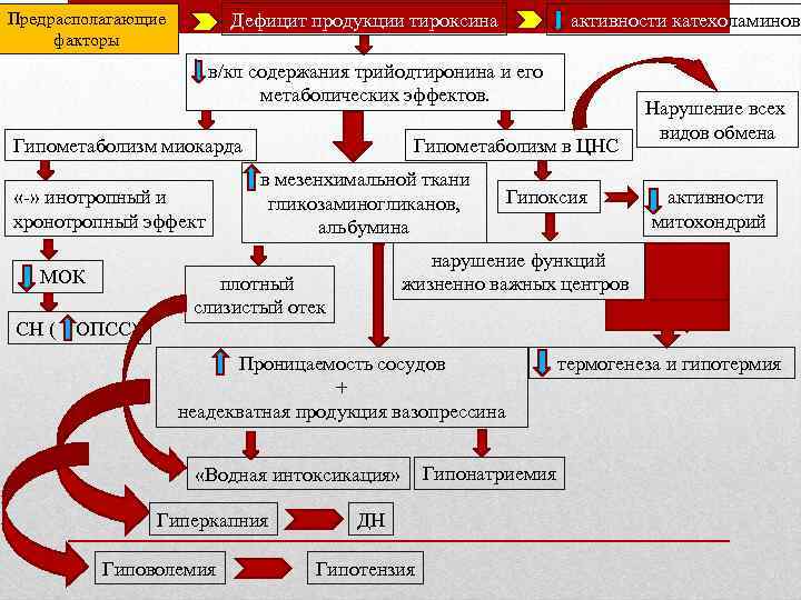 Дефицит продукции тироксина Предрасполагающие факторы активности катехоламинов в/кл содержания трийодтиронина и его метаболических эффектов.