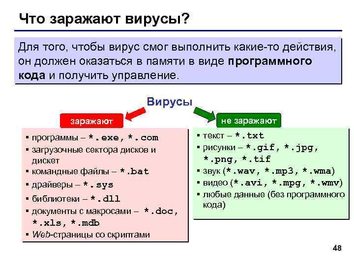 Что заражают вирусы? Для того, чтобы вирус смог выполнить какие-то действия, он должен оказаться