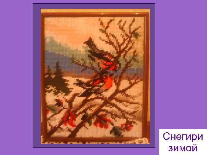 Снегири зимой 