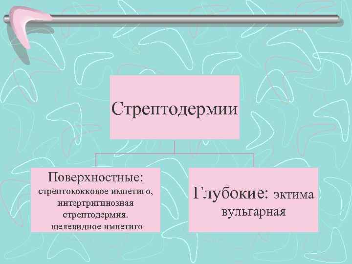 Стрептодермии Поверхностные: стрептококковое импетиго, интертригинозная стрептодермия. щелевидное импетиго Глубокие: эктима вульгарная 