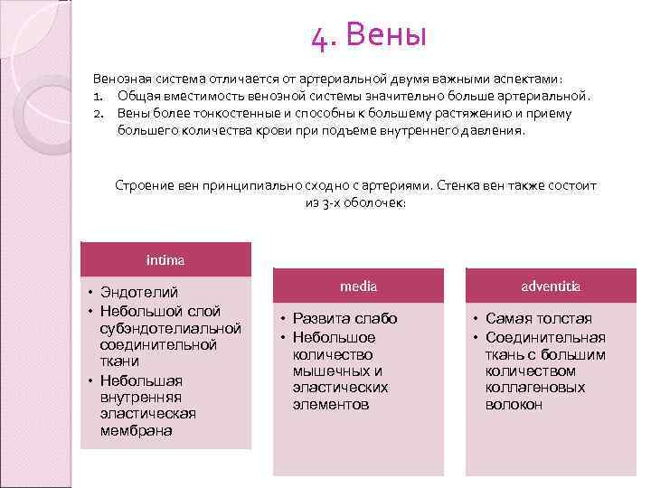 4. Вены Венозная система отличается от артериальной двумя важными аспектами: 1. Общая вместимость венозной