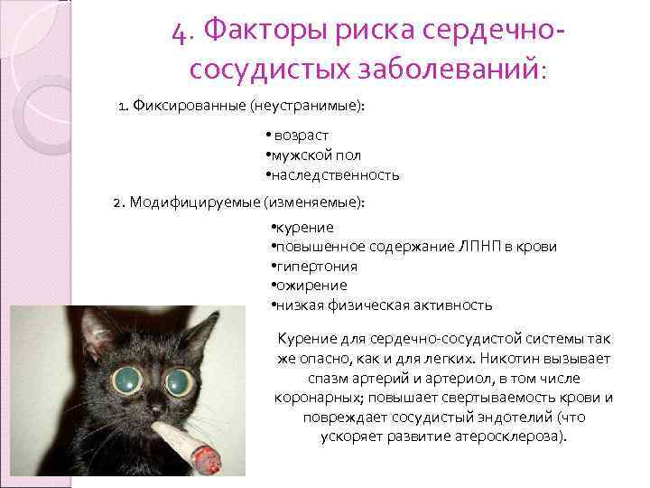 4. Факторы риска сердечнососудистых заболеваний: 1. Фиксированные (неустранимые): • возраст • мужской пол •