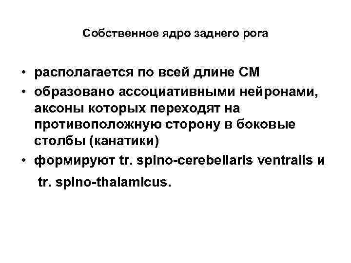 Собственное ядро заднего рога • располагается по всей длине СМ • образовано ассоциативными нейронами,