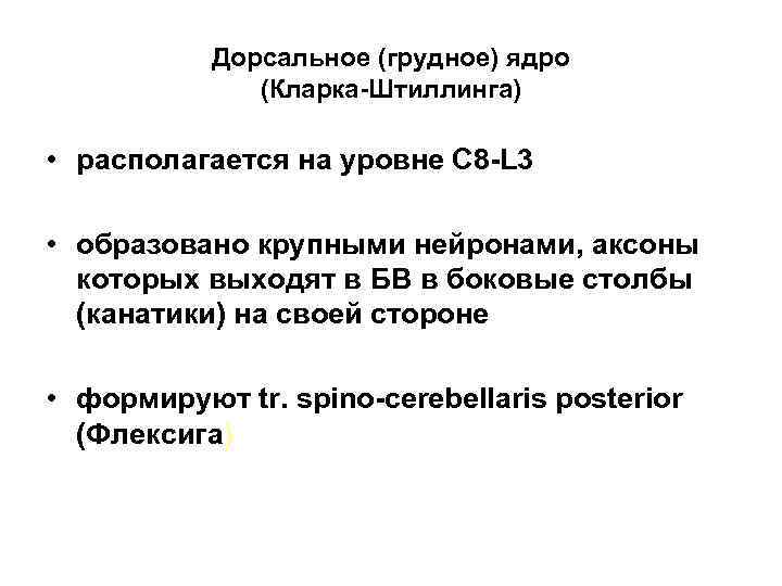 Дорсальное (грудное) ядро (Кларка Штиллинга) • располагается на уровне С 8 L 3 •
