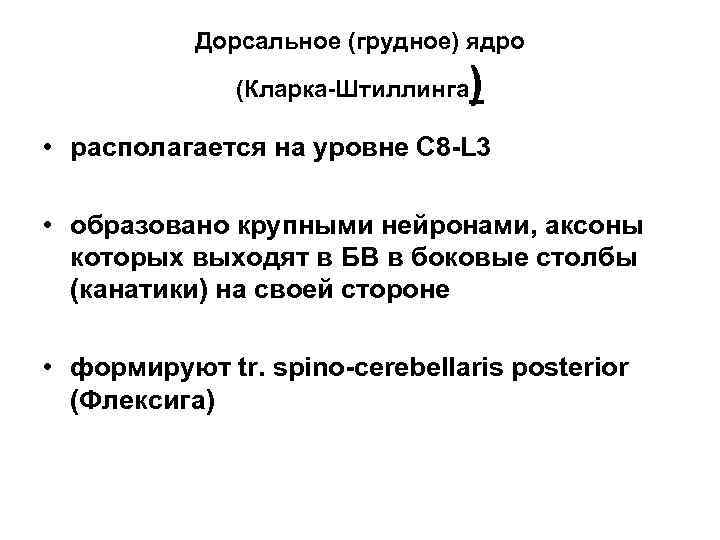 Дорсальное (грудное) ядро (Кларка Штиллинга ) • располагается на уровне С 8 L 3
