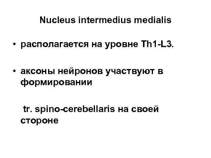 Nucleus intermedius medialis • располагается на уровне Th 1 L 3. • аксоны нейронов