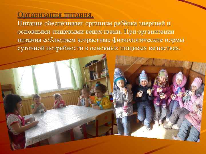 Организация питания. Питание обеспечивает организм ребёнка энергией и основными пищевыми веществами. При организации питания