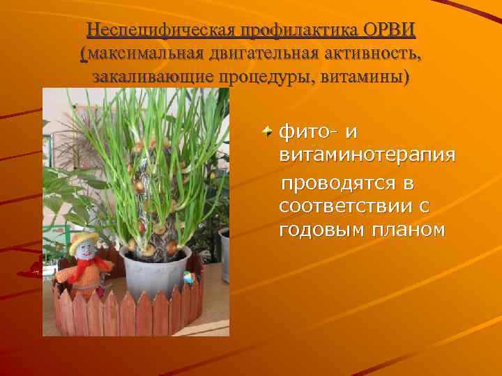 Неспецифическая профилактика ОРВИ (максимальная двигательная активность, закаливающие процедуры, витамины) фито- и витаминотерапия проводятся в