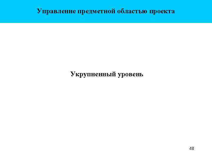 Управление предметной областью проекта Укрупненный уровень 48 