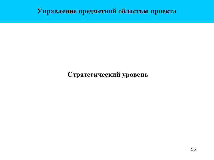 Управление предметной областью проекта Стратегический уровень 55 