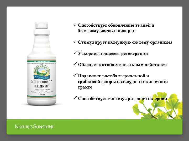 ü Способствует обновлению тканей и быстрому заживлению ран ü Стимулирует иммунную систему организма ü