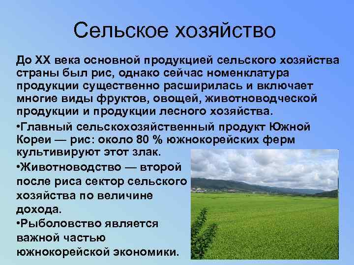 Сельское хозяйство До XX века основной продукцией сельского хозяйства страны был рис, однако сейчас