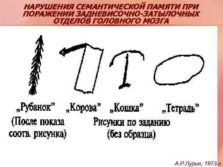 НАРУШЕНИЯ СЕМАНТИЧЕСКОЙ ПАМЯТИ ПРИ ПОРАЖЕНИИ ЗАДНЕВИСОЧНО-ЗАТЫЛОЧНЫХ ОТДЕЛОВ ГОЛОВНОГО МОЗГА А. Р. Лурия, 1973 г.