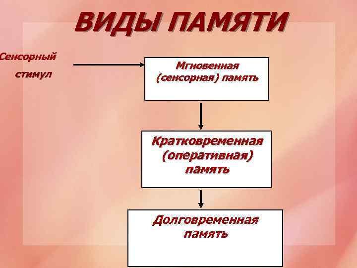 ВИДЫ ПАМЯТИ Сенсорный стимул Мгновенная (сенсорная) память Кратковременная (оперативная) память Долговременная память 
