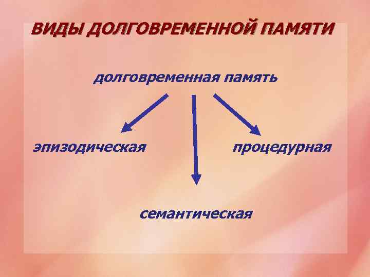 ВИДЫ ДОЛГОВРЕМЕННОЙ ПАМЯТИ долговременная память эпизодическая процедурная семантическая 
