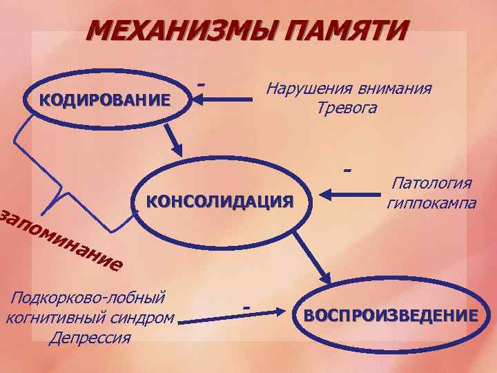 МЕХАНИЗМЫ ПАМЯТИ КОДИРОВАНИЕ - Нарушения внимания Тревога - зап ом КОНСОЛИДАЦИЯ Патология гиппокампа ина
