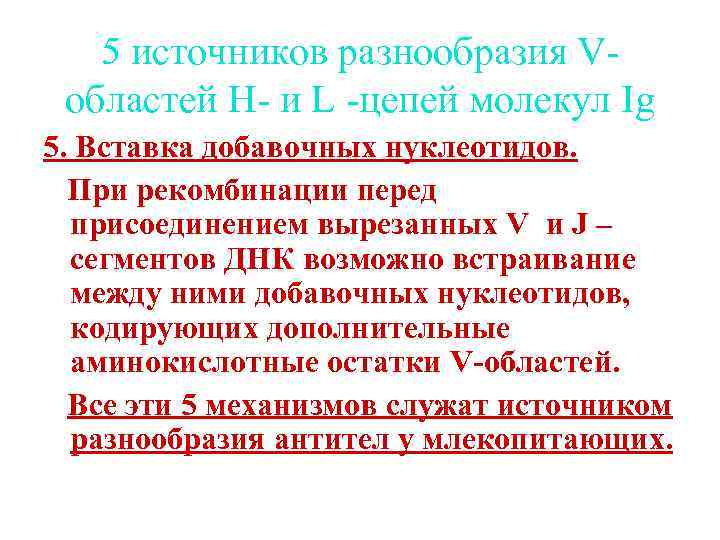 5 источников разнообразия Vобластей Н- и L -цепей молекул Ig 5. Вставка добавочных нуклеотидов.