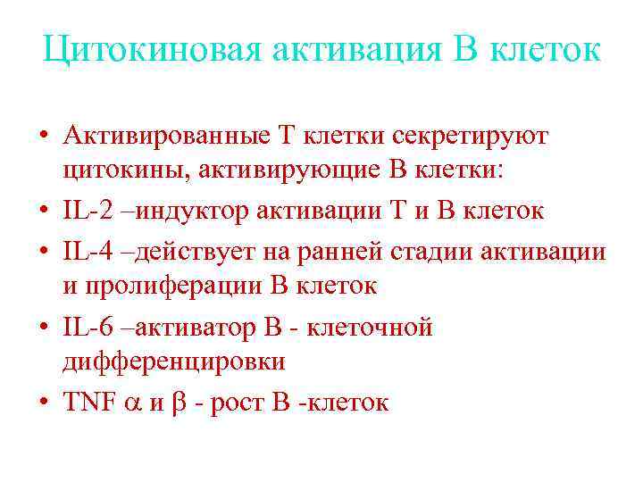 Цитокиновая активация В клеток • Активированные Т клетки секретируют цитокины, активирующие В клетки: •