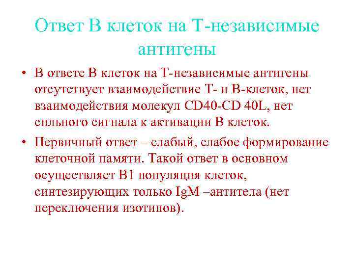 Ответ В клеток на Т-независимые антигены • В ответе В клеток на Т-независимые антигены