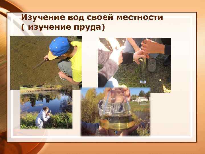 Изучение вод своей местности ( изучение пруда) 