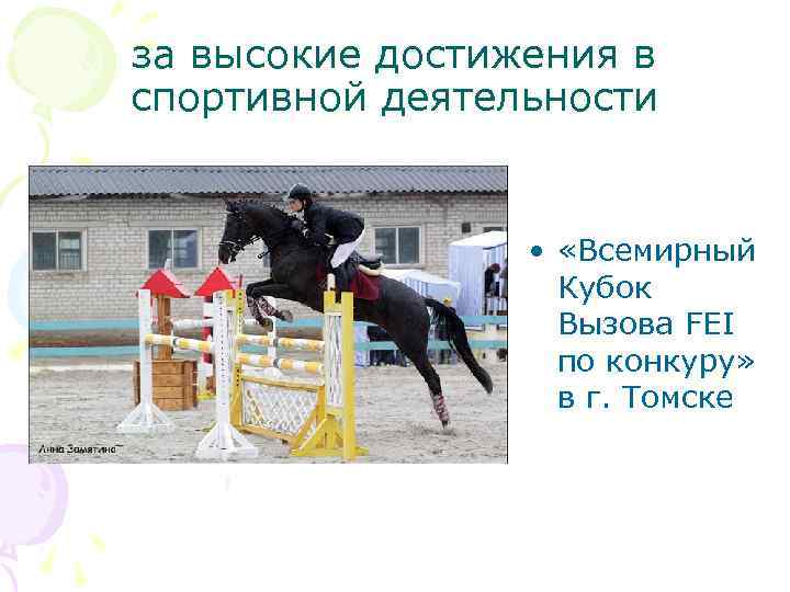 за высокие достижения в спортивной деятельности • «Всемирный Кубок Вызова FEI по конкуру» в