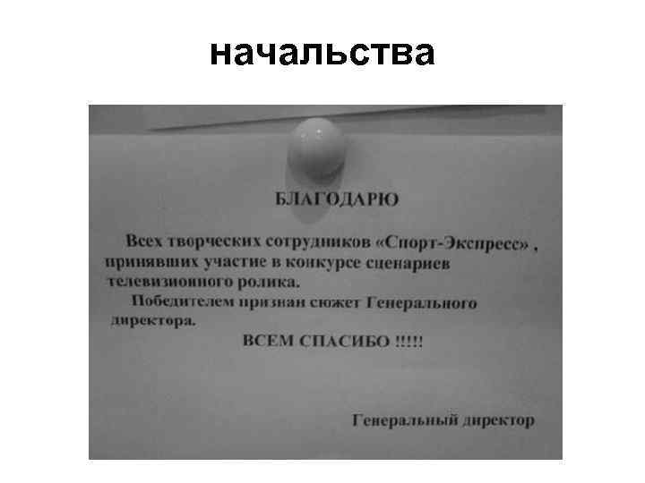 начальства 
