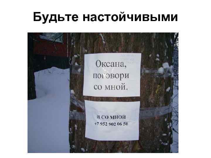 Будьте настойчивыми 