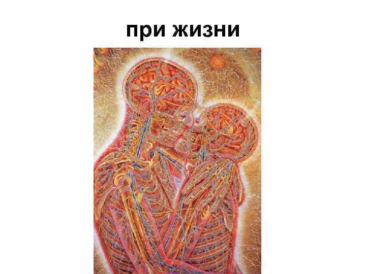при жизни 